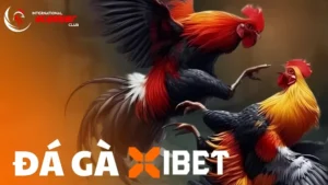 Đá Gà International Slasher Club gay cấn, hấp dẫn