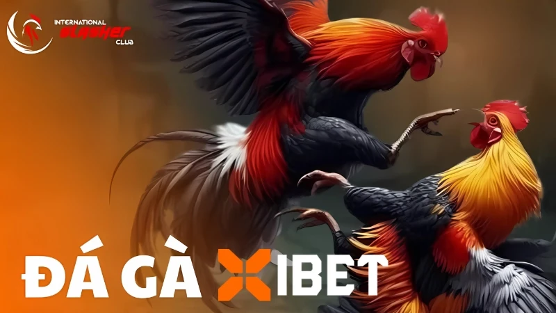 Đá Gà International Slasher Club gay cấn, hấp dẫn