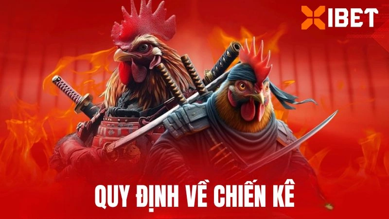 Quy định về chiến kê được áp dụng tại trường gà này